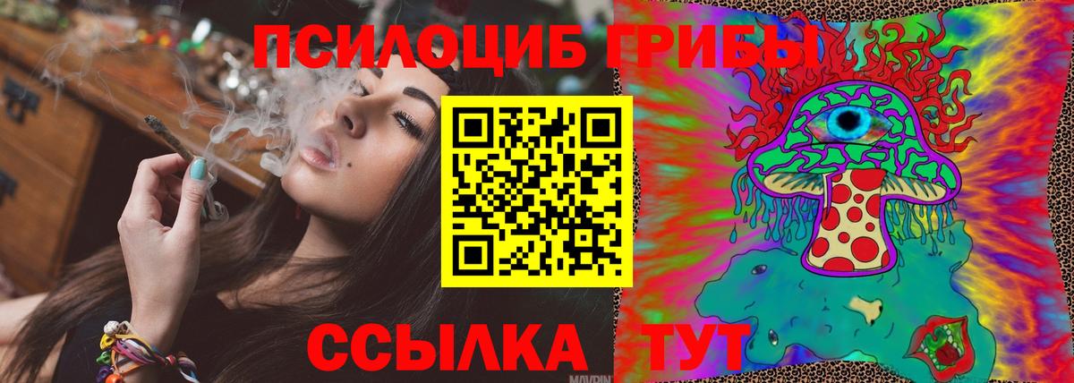 Псилоцибиновые грибы Magic Shrooms  Вход с VPN  Камень-на-Оби 